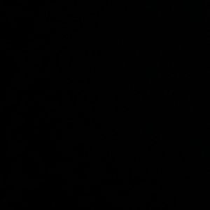 Meet your Posher, Zoe